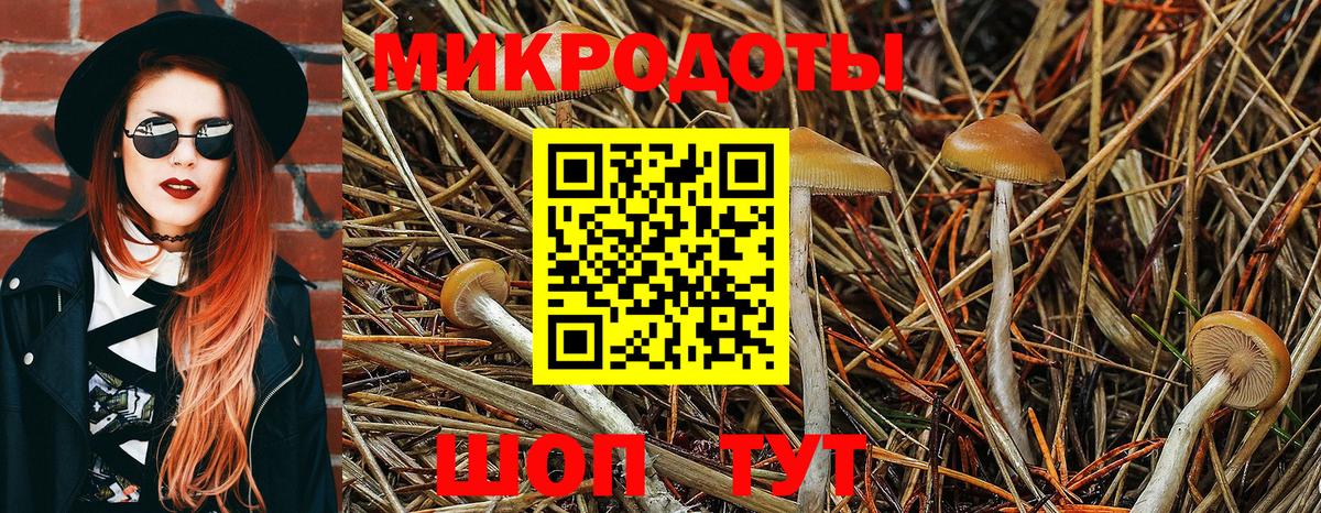 Галлюциногенные грибы Psilocybine cubensis  Галлюциногенные грибы Magic Shrooms  где купить наркотик  Нефтекамск  Вход с VPN 